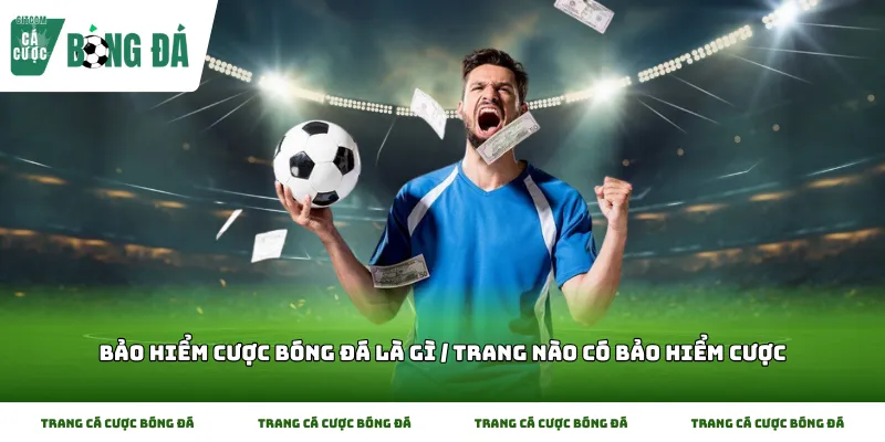 Giải thích cơ chế hoạt động Bảo hiểm cược bóng đá là gì / Trang nào có bảo hiểm cược
