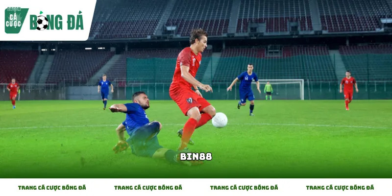 Các bước kiểm tra độ uy tín của Bin88 cho người mới