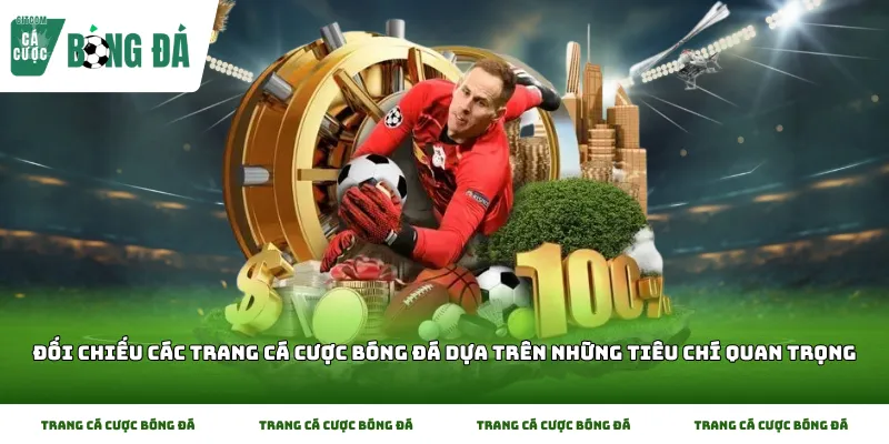 Đối Chiếu Các Trang Cá Cược Bóng Đá Dựa Trên Những Tiêu Chí Quan Trọng