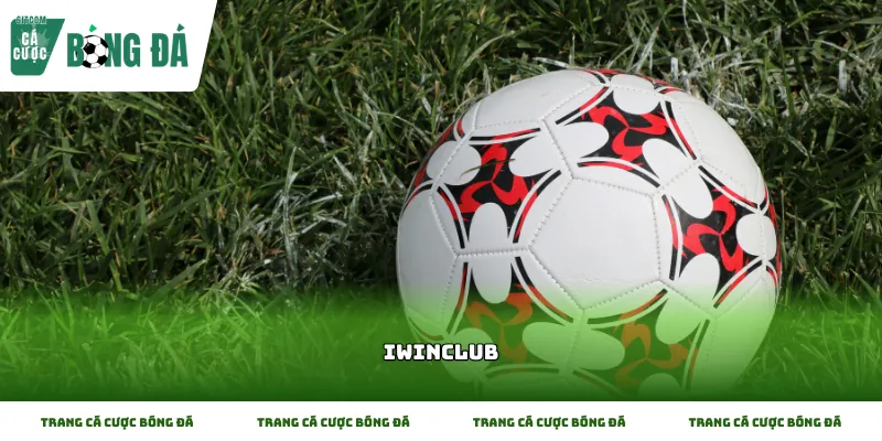 Kinh nghiệm thực tế khi kiểm tra bảng kèo tại Iwinclub