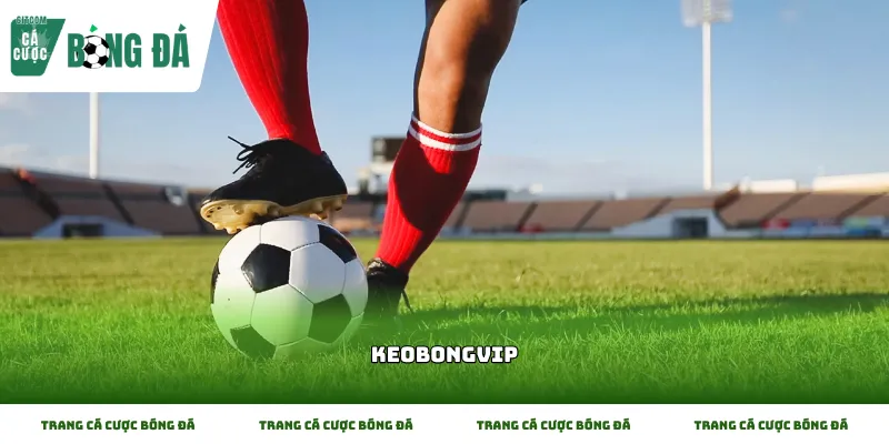 Những điều cơ bản cần biết về Keobongvip