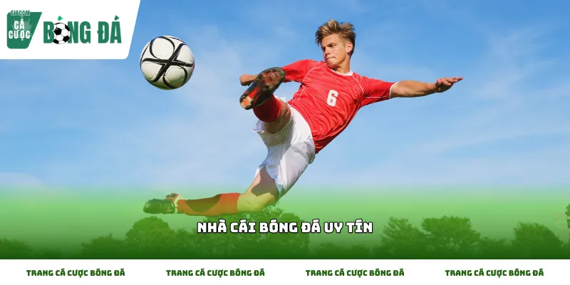 Các tiêu chí quan trọng để nhận diện một Nhà cái bóng đá uy tín