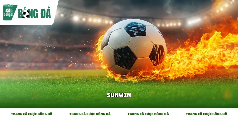 Những điều cơ bản cần biết về Sunwin