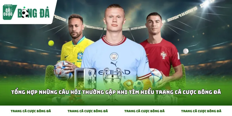 Tổng Hợp Những Câu Hỏi Thường Gặp Khi Tìm Hiểu Trang Cá Cược Bóng Đá