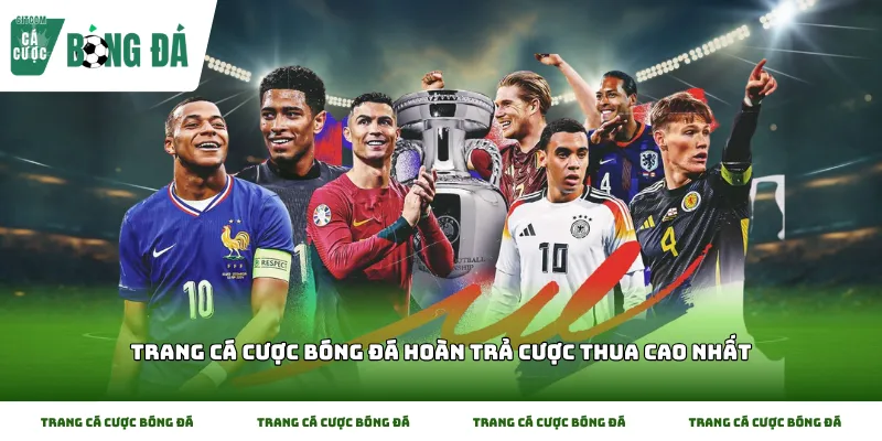 Thông tin về Trang cá cược bóng đá hoàn trả cược thua cao nhất hỗ trợ người chơi