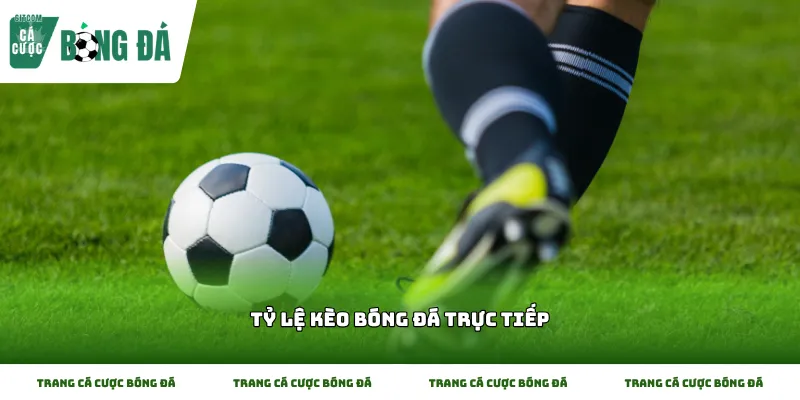 Vài đặc điểm quan trọng về Tỷ lệ kèo bóng đá trực tiếp mà người hâm mộ cần biết