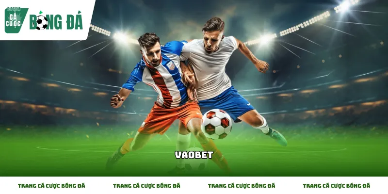 Trang web Vaobet và cách đọc tỷ lệ cho người mới bắt đầu